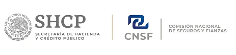 Comisión Nacional de Seguros y Fianzas (CNSF)